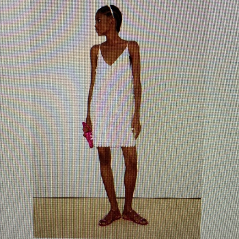 Zara Iridescent Sequin Dress